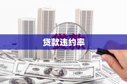 普定贷款违约率