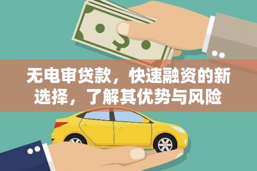 普定无电审贷款，快速融资的新选择，了解其优势与风险