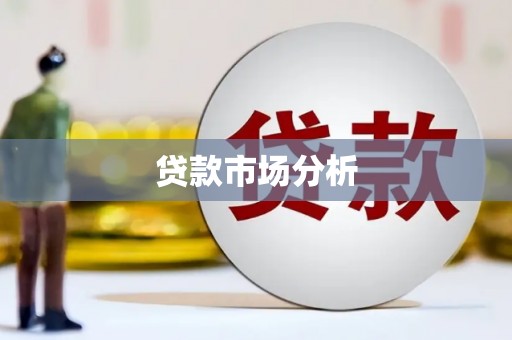 普定贷款市场分析