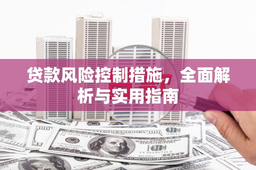 普定贷款风险控制措施，全面解析与实用指南