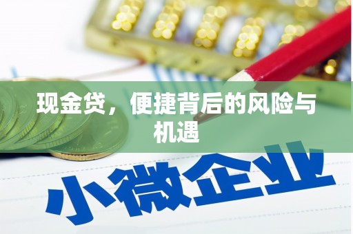 普定现金贷，便捷背后的风险与机遇