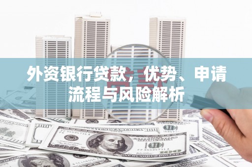 普定外资银行贷款，优势、申请流程与风险解析