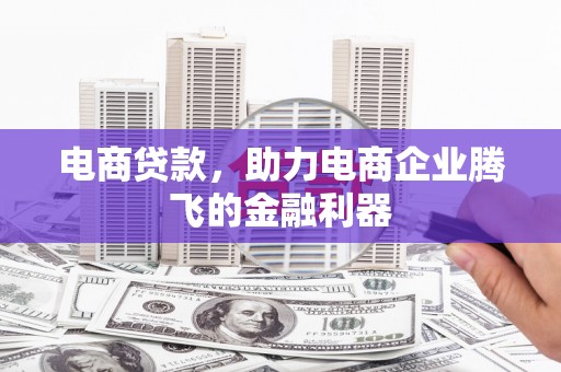 普定电商贷款，助力电商企业腾飞的金融利器