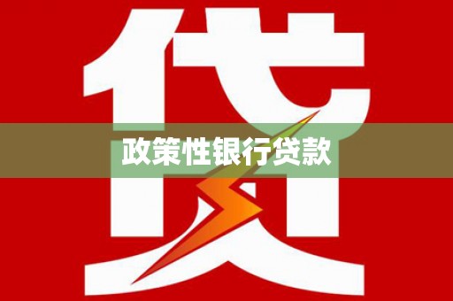 普定政策性银行贷款