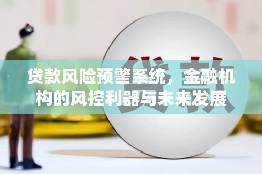 普定贷款风险预警系统，金融机构的风控利器与未来发展