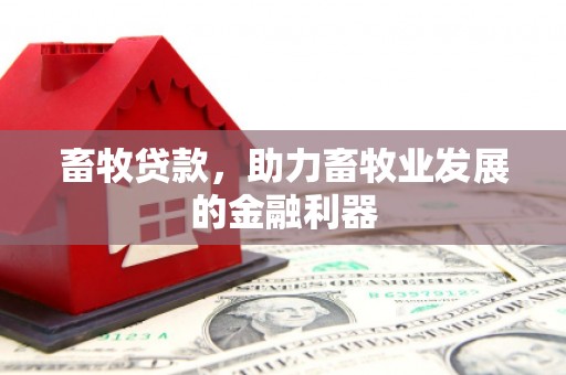 普定畜牧贷款，助力畜牧业发展的金融利器