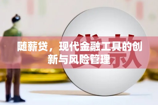 普定随薪贷，现代金融工具的创新与风险管理
