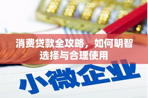 普定消费贷款全攻略，如何明智选择与合理使用