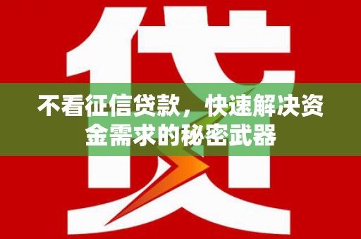 普定不看征信贷款，快速解决资金需求的秘密武器