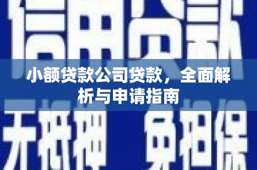 普定小额贷款公司贷款，全面解析与申请指南