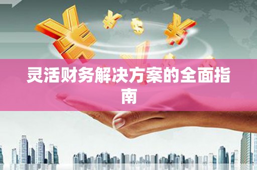 普定灵活财务解决方案的全面指南