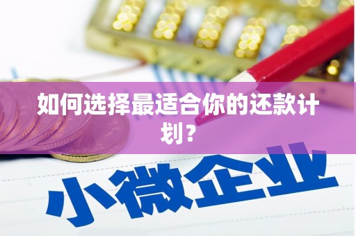 普定如何选择最适合你的还款计划？