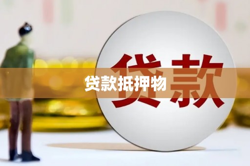 普定贷款抵押物