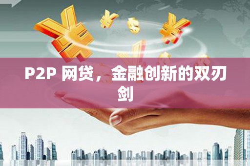 普定P2P 网贷，金融创新的双刃剑
