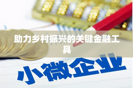 普定助力乡村振兴的关键金融工具