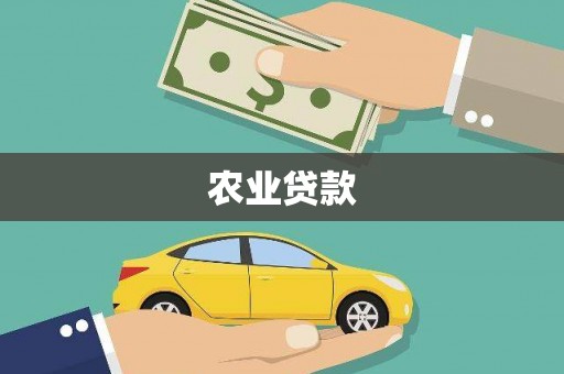 普定农业贷款