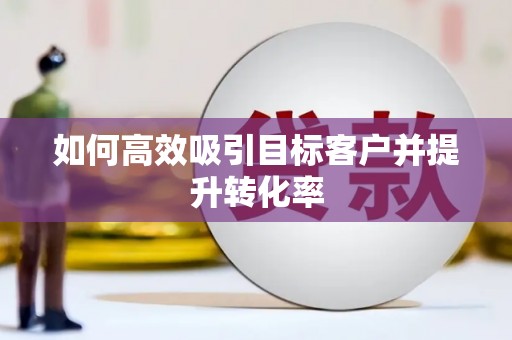 普定如何高效吸引目标客户并提升转化率