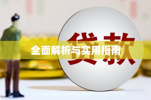普定全面解析与实用指南