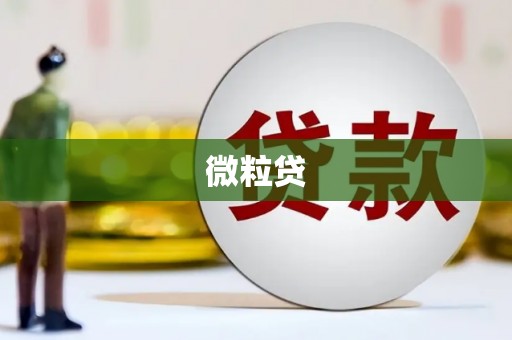 普定微粒贷