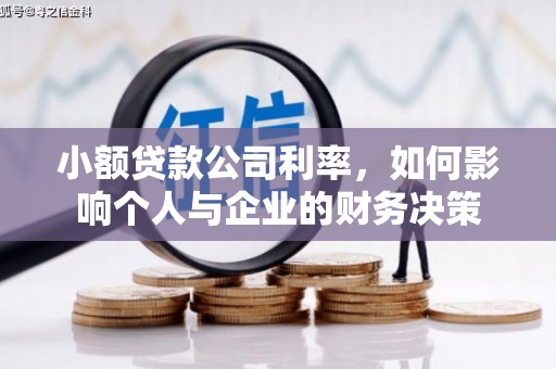 普定小额贷款公司利率，如何影响个人与企业的财务决策