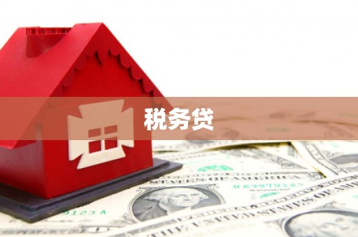 普定税务贷