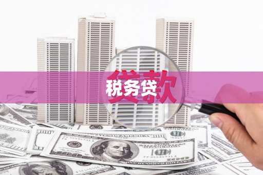 普定税务贷