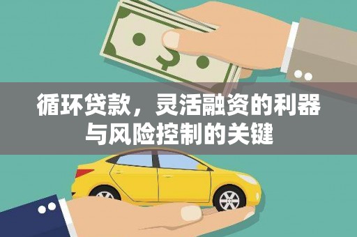 普定循环贷款，灵活融资的利器与风险控制的关键