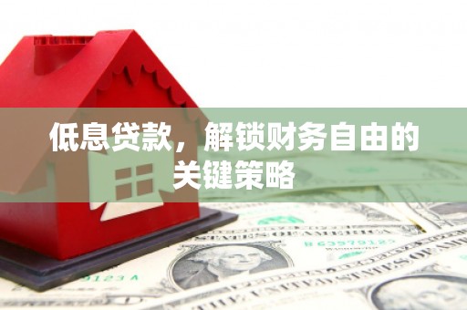 普定低息贷款，解锁财务自由的关键策略