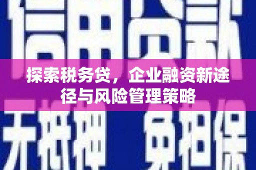 普定探索税务贷，企业融资新途径与风险管理策略