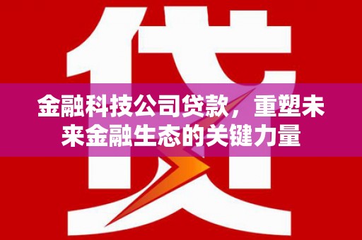 普定金融科技公司贷款，重塑未来金融生态的关键力量