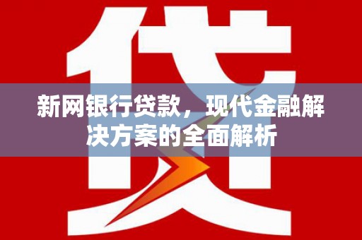 普定新网银行贷款，现代金融解决方案的全面解析
