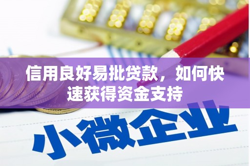 普定信用良好易批贷款，如何快速获得资金支持