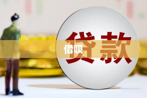 普定借呗