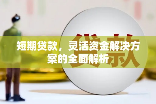普定短期贷款，灵活资金解决方案的全面解析