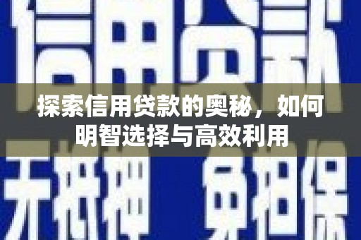 普定探索信用贷款的奥秘，如何明智选择与高效利用