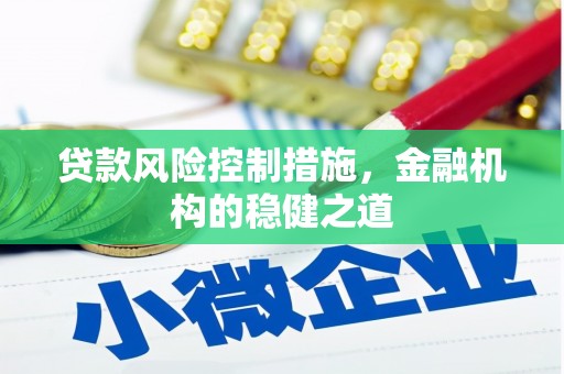 普定贷款风险控制措施，金融机构的稳健之道
