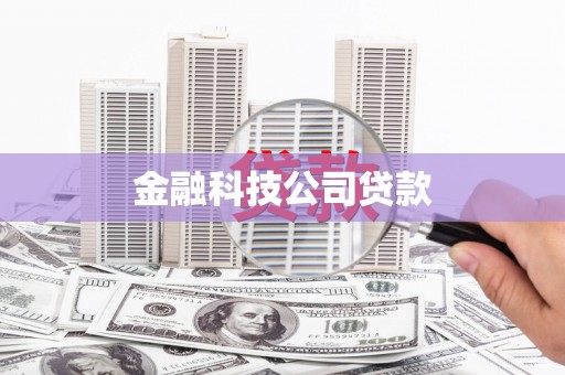 普定金融科技公司贷款