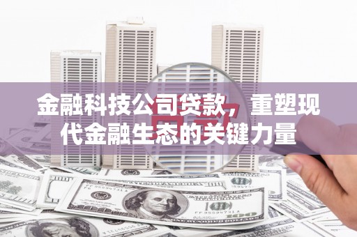 普定金融科技公司贷款，重塑现代金融生态的关键力量