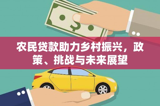 普定农民贷款助力乡村振兴，政策、挑战与未来展望