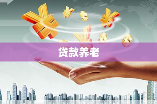 普定贷款养老