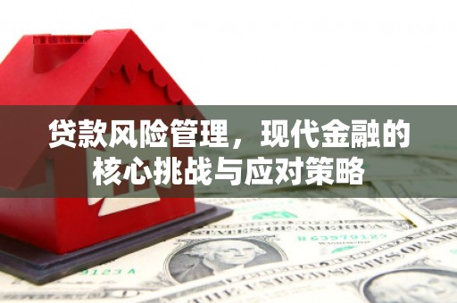 普定贷款风险管理，现代金融的核心挑战与应对策略