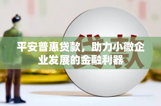 普定平安普惠贷款，助力小微企业发展的金融利器