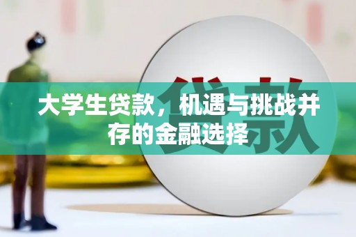 普定大学生贷款，机遇与挑战并存的金融选择