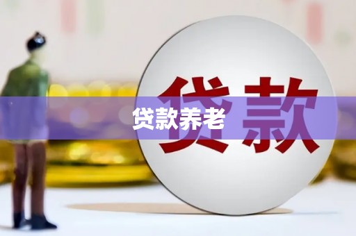 普定贷款养老