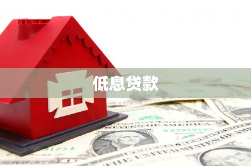 普定低息贷款