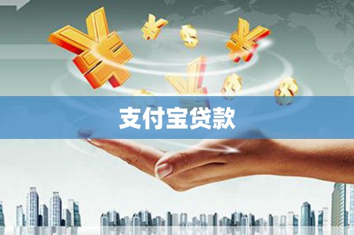普定支付宝贷款