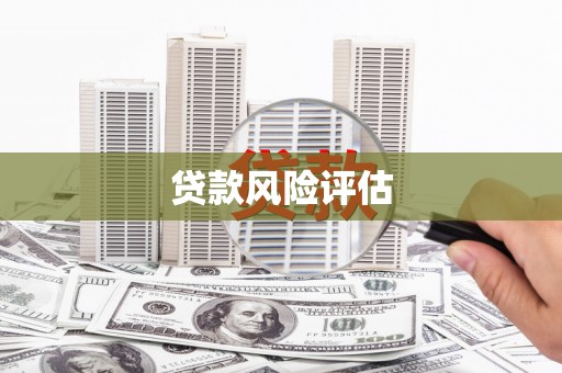 普定贷款风险评估