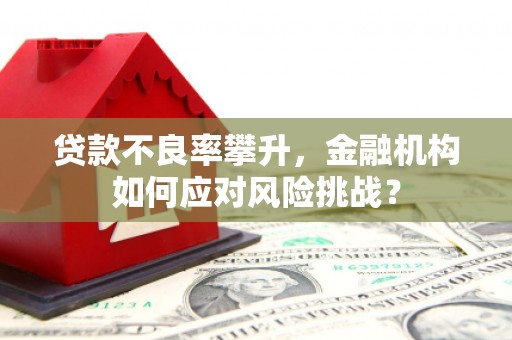 普定贷款不良率攀升，金融机构如何应对风险挑战？