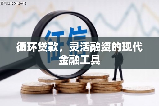 普定循环贷款，灵活融资的现代金融工具