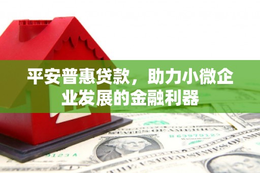 普定平安普惠贷款，助力小微企业发展的金融利器